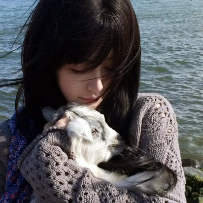 上翼!海报